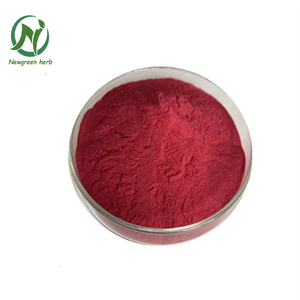 Bubuk Ekstrak <span class=keywords><strong>Bilberry</strong></span> Murni Organik Alami Cina Grosir Newgreen - Product Image 3