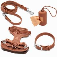 Ensemble de laisse de sécurité pour animaux de compagnie, respirant, en maille aérée, facile à enfiler