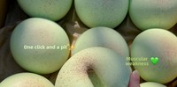 ZW Zhejiangs Viral Xiaohongshu Hit Ultra-moist Super-soft Honeydew Melon-shaped Plastic Squishy Bunstress Relief Muscle