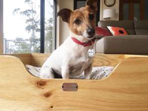 ต่ำราคา <span class=keywords><strong>Precision</strong></span> สัตว์เลี้ยงสุนัขสำหรับ Sleeping - Product Image 2