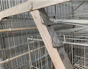Nouvelle <span class=keywords><strong>cage</strong></span> en acier de type A de couche de poulet 200 avec abreuvoir automatique de tétine pour usage domestique et fermes de détail en Tanzanie - Product Image 6