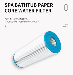 Proway China Paper Pleated Spa Filter Cartridge Used Pool Filters For Sale