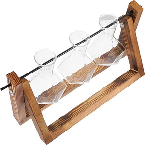 Glass Planter Bulb Vase Desktop Air Plant Terrarium With Solid Wooden Stand for Hydroponics Plants Home <b>Decor</b> - Product Image 1