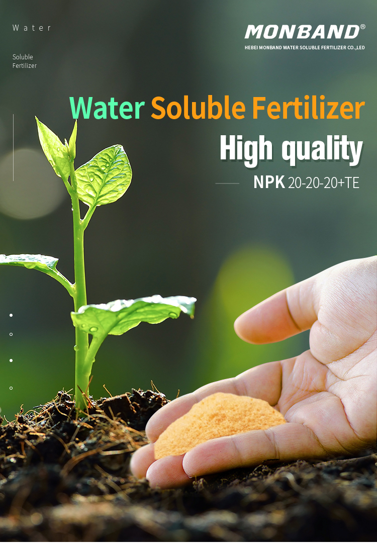 China wasser lslich dnger NPK 20-20-20 + TE hohe qualitt NPK dnger  preis fr landwirtschaft kulturen| Alibaba.com