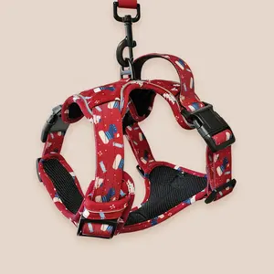 OKKPETS Cat Christmas Gift Set Dog Collar Leash Manufacturers Custom Dog Harness Set Christmas Dog Harness Product
