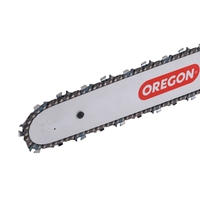 Tronçonneuse FIXTEC 24'' avec chaîne et guide-chaîne OREGON 62CC pour la coupe du bois