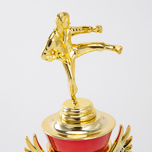 24 Nuevas promociones para boxeo gratis Judo Taekwondo Trofeos y medallas de plástico chapados en oro Premios de recuerdo AD77 - Product Image 2