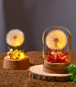 Ornement floral en dôme <span class=keywords><strong>de</strong></span> verre, pissenlit préservé <span class=keywords><strong>de</strong></span> haute qualité, fabriqué en usine, <span class=keywords><strong>lumière</strong></span> nocturne, bouquet <span class=keywords><strong>de</strong></span> fleurs éternelles, cadeau d'anniversaire créatif - Product Image 3
