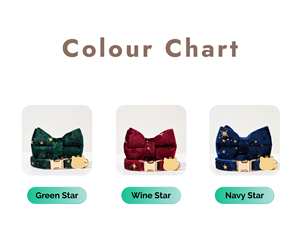 Ensemble de laisse personnalisée Veet pour chatons, laisse à motif uni, étiquette dorée gravée, collier en velours fait main pour chat et chiot - Product Image 6