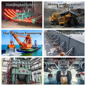 Cilindro Idraulico a Doppia Asta per Carichi Pesanti con Sensore <span class=keywords><strong>Rexroth</strong></span> CDL1 MP5 di Alta Qualità - Product Image 4