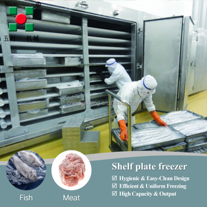 Congélateur à plaque de contact OEM 2 t/h équipement de congélation pour poisson Pangasius kéta congélateur à plaque de saumon daurade morue de l'Atlantique daurade - Product Image 3