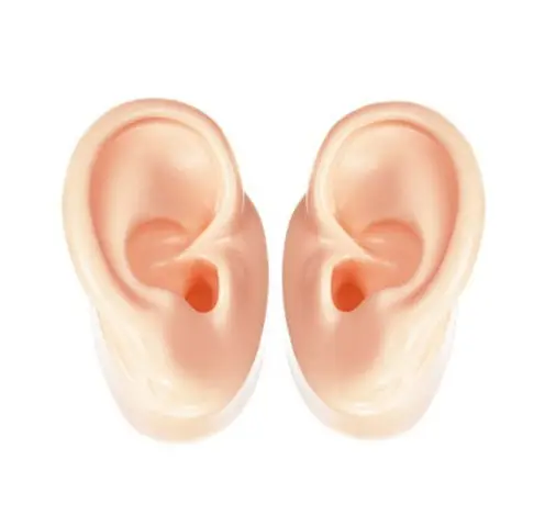 Factory direct sales Artificial silicone Ear Model Display for hearing aid earphone hearing protector music monitor flesh color