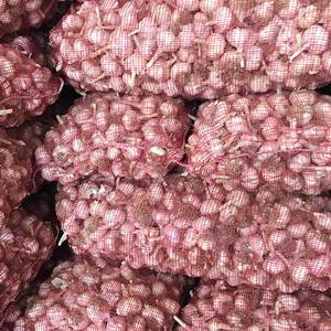 <span class=keywords><strong>Semillas</strong></span> <span class=keywords><strong>de</strong></span> Ajo <span class=keywords><strong>de</strong></span> Piel Morada Orgánicas Locales <span class=keywords><strong>de</strong></span> Shandong, 2.5 kg, Bulbos <span class=keywords><strong>de</strong></span> Ajo Frescos <span class=keywords><strong>de</strong></span> Piel Roja, Auténticos <span class=keywords><strong>de</strong></span> Granja - Product Image 2