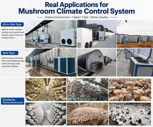 Sistema de Control Ambiental para Cultivo de Hongos Enoki con Refrigeración, Calefacción y Humidificación - Product Image 6