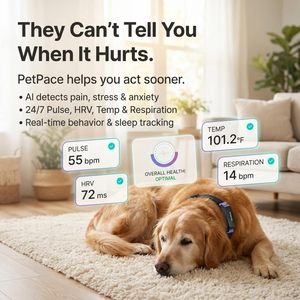 ปลอกคออัจฉริยะ PetPace Dog Health Monitor V3.0 พร้อมระบบติดตามสัญญาณชีพและอาการปวดตลอด 24 ชั่วโมงสำหรับสัตว์เลี้ยง - Product Image 2