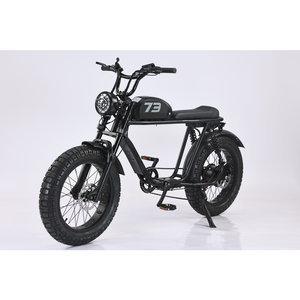 Bicicleta Eléctrica Urbana de 500W con Motor Trasero sin Escobillas, Batería de Litio de 48V 20AH, Neumático Grueso de 20 Pulgadas, 6 Velocidades, Cuadro de Hierro, Modelo JYOP-6 Urban E - Product Image 1