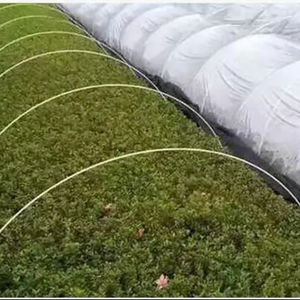 ไฟเบอร์กลาสต้นไม้เต็นท์เสาสวน Rod มะเขือเทศเนอสเซอรี่เดิมพันพืชสนับสนุนเดิมพันรั้วโพสต์ - Product Image 5