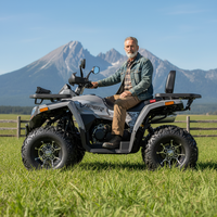 Quad Tao Motor 2026, nouveau modèle en gros, 4x2, transmission automatique par chaîne, Cuatrimotos ATV 250cc avec EEC CE EPA
