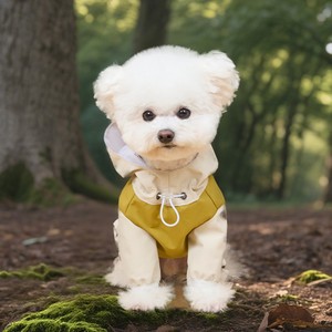 AliExpress, ropa para perros de concha dura para exteriores de cuatro patas, mono de asalto para mascotas a juego de colores transfronterizos, impermeable, sólido - Product Image 1