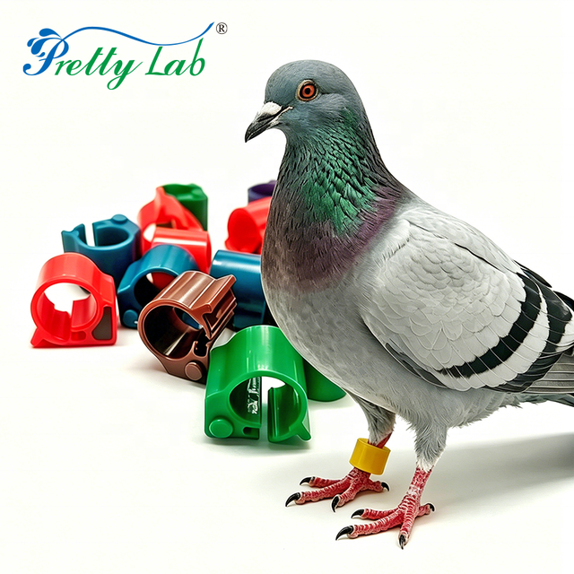 Eletronic Rings for Pigeons Plastic Aluminium Pigeon Rings  Rfid Pigeon Ring