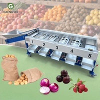 Fruit sorteermachine, wasmachine, 5 ton/uur, automatische dadelreiniging, papaya- en palmvruchtensorteerder, groentesorteerder voor bollen.