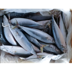 Exportador de Pescado Atún del Pacífico Fresco y Congelado Orgánico de China, Fabricante de Pescado Atún Congelado - Product Image 2