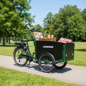 Vélo cargo électrique à 3 roues Clamber, entrepôt UE, avec moteur central 250W, design hollandais Bakfiets, pour le <span class=keywords><strong>transport</strong></span> familial - Product Image 6