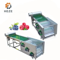 Hoge Kwaliteit Abrikoos Grader Fruit Sorteren Machine Kalibratie Sizer
