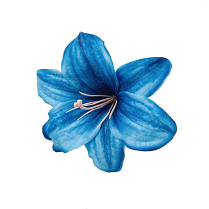 Têtes de fleurs de lys artificielles de 12 cm de diamètre pour la décoration de mariage, la décoration de la maison et les accessoires de photographie - Product Image 5