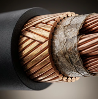Câble de commande blindé GOST Standard KVVGng FRLS, résistant au feu, LSZH 0.6 1kV, fil de cuivre blindé VVG pour centrale électrique