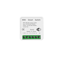 Interrupteur intelligent inductif WiFi Tuya, mini boîtier encastré, commande simple ou double, contrôle vocal Alexa, sans fil, 16A 100-240V