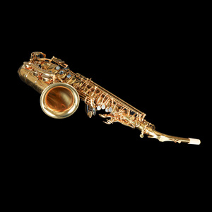 Saxophone alto en mi bémol de qualité professionnelle, haut de gamme, en laiton, avec caractéristiques personnalisables et clé F haute - Product Image 5
