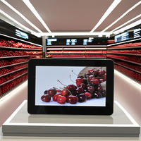 Pantalla Táctil TFT-LCD de Alta Luminosidad de 7'' con Resolución de 1024x768, Precio de Fábrica, Multi-idioma, Opción de Pantalla Táctil, Interfaz USB, para Punto de Venta