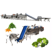 Continue vortex wasmachine voor het reinigen van kool, salade en groenten