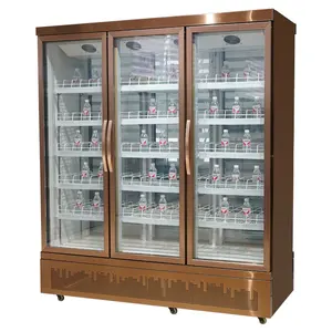 Best Cost Efficient Beverage Display Chiller/supermarket Glass Door Upright Freezer beer freezer bottle refrigerator