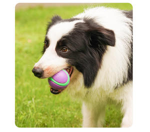 Factory Custom Pet Chew Toy Two Colors Dog Ball Dog Interactive Toy <b>Bite</b> Resistant Teeth-Cleaning Sound Dog Ball - Product Image 4