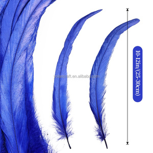 <span class=keywords><strong>Plumes</strong></span> de queue de coq teintes sur mesure en gros, de haute qualité, pour la décoration de costumes <span class=keywords><strong>et</strong></span> l'embellissement - Product Image 2