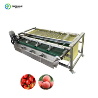 Petite machine de tri des fruits Machine de tri des dates Machines de traitement des fruits