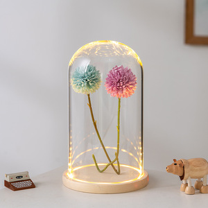 Copertura Micro paesaggio artigianato fatto a mano cupola <span class=keywords><strong>di</strong></span> <span class=keywords><strong>vetro</strong></span> personalizzata con Base in legno <span class=keywords><strong>di</strong></span> sughero <span class=keywords><strong>campana</strong></span> <span class=keywords><strong>di</strong></span> <span class=keywords><strong>vetro</strong></span> ovale <span class=keywords><strong>di</strong></span> arte popolare - Product Image 6