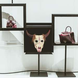 Mascarilla de látex con cabeza de cabra para adultos, máscara caníbal con <span class=keywords><strong>cuernos</strong></span>, cueva, esqueleto, <span class=keywords><strong>demonio</strong></span>, Cabra, ventosa, disfraz de Halloween - Product Image 6