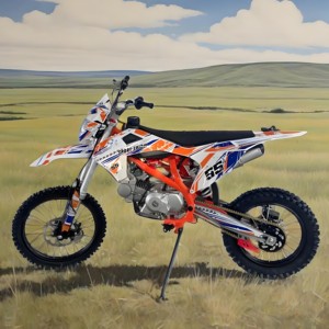 먼지 자전거 125cc 성인 오프로드 오토바이 4 스트로크 모토크로스 트레일 핏 바이크 가스 전원 수입 도매 빠른 레이싱 엔듀로 - Product Image 2