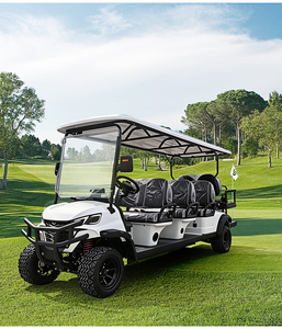 Carrito de Golf a Gasolina Texas Eagle, Ensamblaje de Pedales para Carrito de Golf, Económico, Todoterreno - Product Image 6