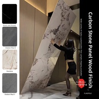 Nouveau panneau mural en PVC moderne, imperméable, avec revêtement anti-UV, anti-salissure, facile à nettoyer, pour la salle de bain et le salon