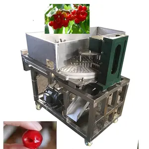 Data Deseeding Machine Olijf Core Verwijderen Machine Jujube Zaad Verwijderen Machine Vruchten Automatische Pitter Data Pitting 700kgs Cn; Kip