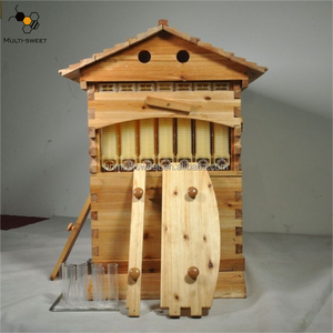 7 Piezas de Colmena de Madera Automática con Flujo Automático de Miel para Abejas - Product Image 5