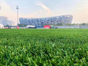 <span class=keywords><strong>Gazon</strong></span> artificiel de football et revêtement de sol sportif, tapis en <span class=keywords><strong>faux</strong></span> <span class=keywords><strong>gazon</strong></span> <span class=keywords><strong>pour</strong></span> le football avec résistance aux UV, sans métaux lourds, garantie 5-7 ans - Product Image 6