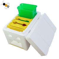 Ruche reine des abeilles ruches en polystyrène mini boîte nuc d'accouplement