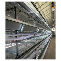 Offre Spéciale : Cage à Poulets Automatique Type H à 4 Niveaux, Équipement d'Élevage Galvanisé pour 20 000 Poulets, Idéal pour Projets d'Exploitation Avicole en Afrique