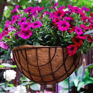 Panier <span class=keywords><strong>suspendu</strong></span> pour plantes <span class=keywords><strong>Coco</strong></span> <span class=keywords><strong>Coco</strong></span> Jardinières suspendues Pots de fleurs suspendus extérieurs pour garde-corps - Product Image 5