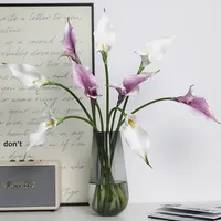 Handgefertigte Plastik-Realistische Doppelblatt-Calla-Lilie Alocasia Künstliche Blume Heimdekoration Chinesischer Stil Hochzeitsornamente